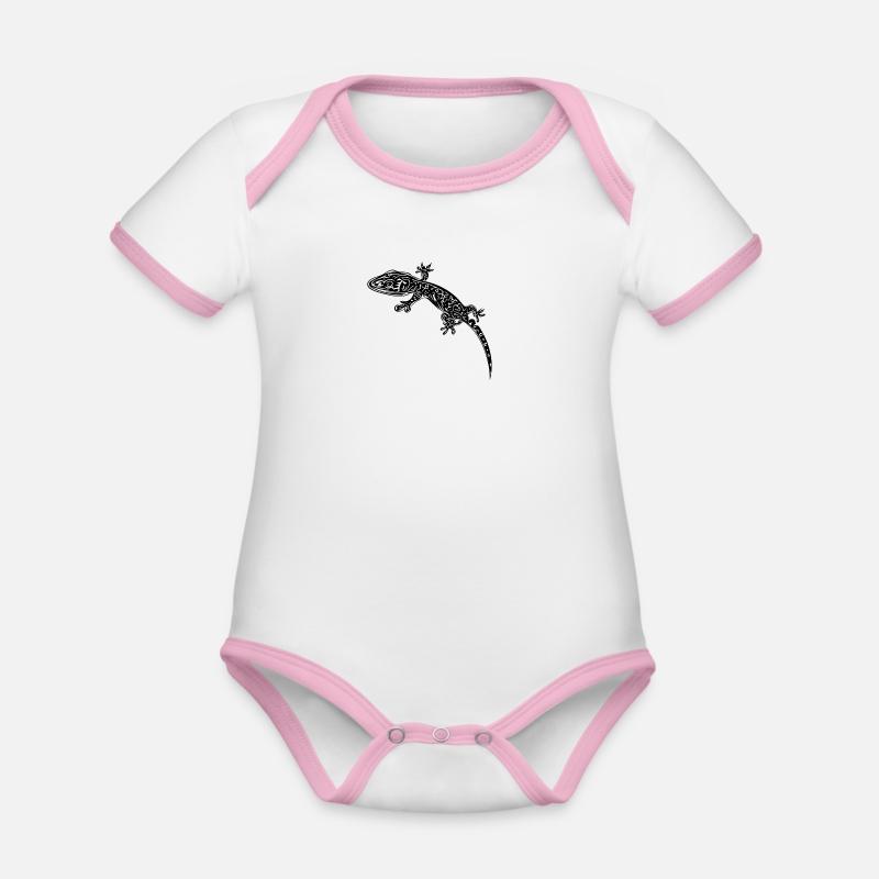 Little Gecko On The Wall