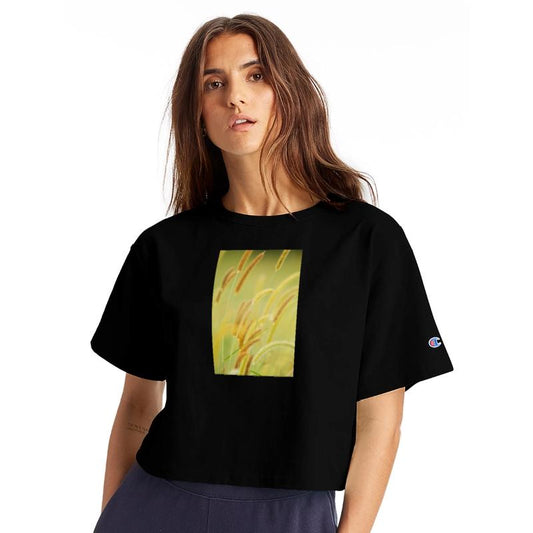 African Bristle Grass