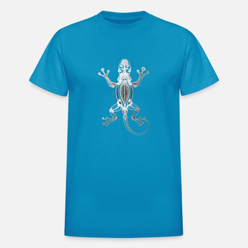 Cambrian Alchemist: Fossil Salamander White Ink