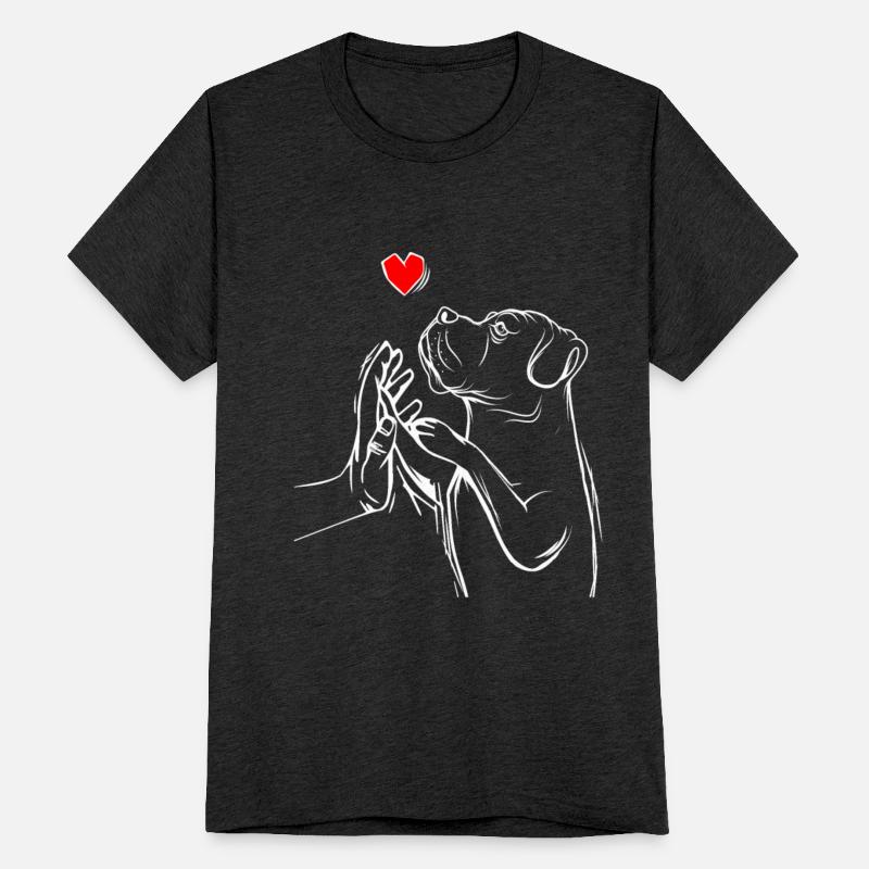 Cane Corso dogs dear mistress