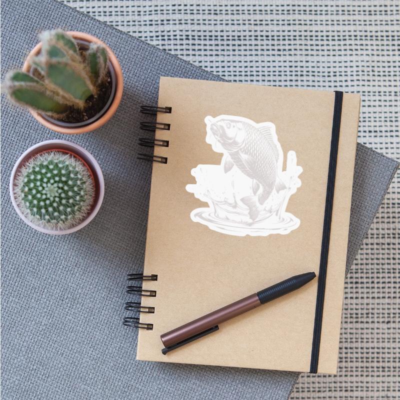 Carp with water splash for anglers