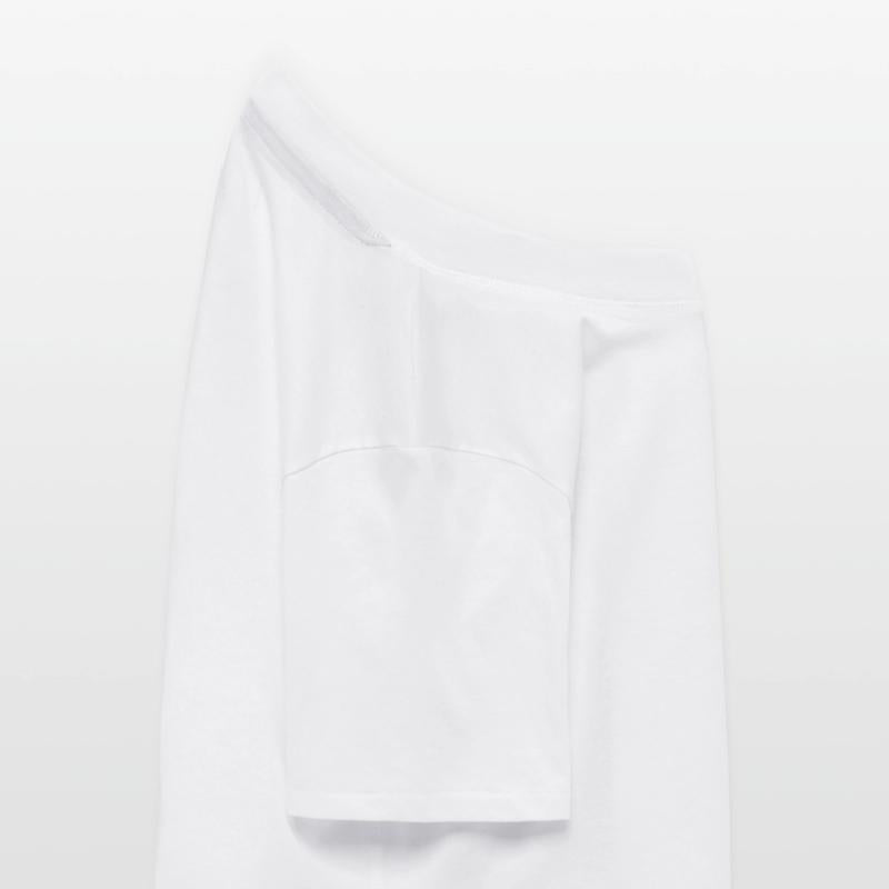 Cosmic Wanderer: The Primate Explorer