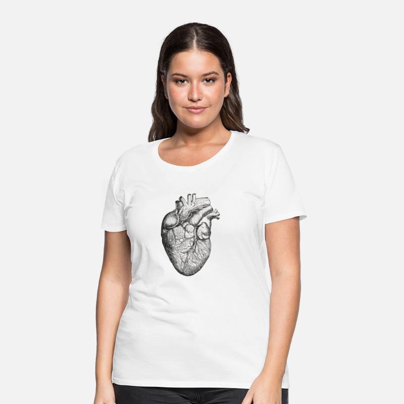 Detailed Medical Illustration of the Human Heart