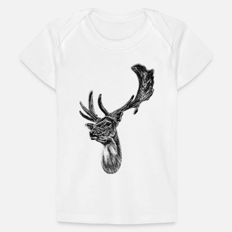 Fallow deer stag