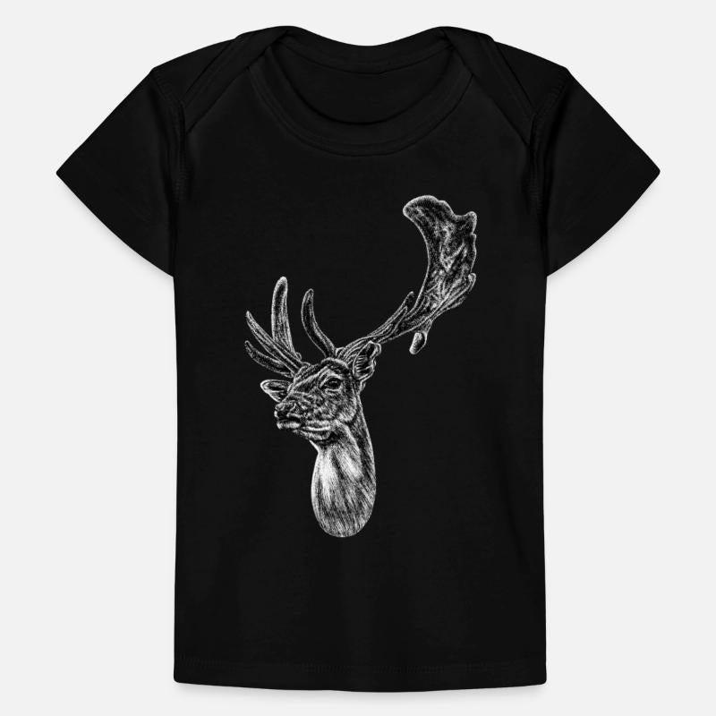 Fallow deer stag