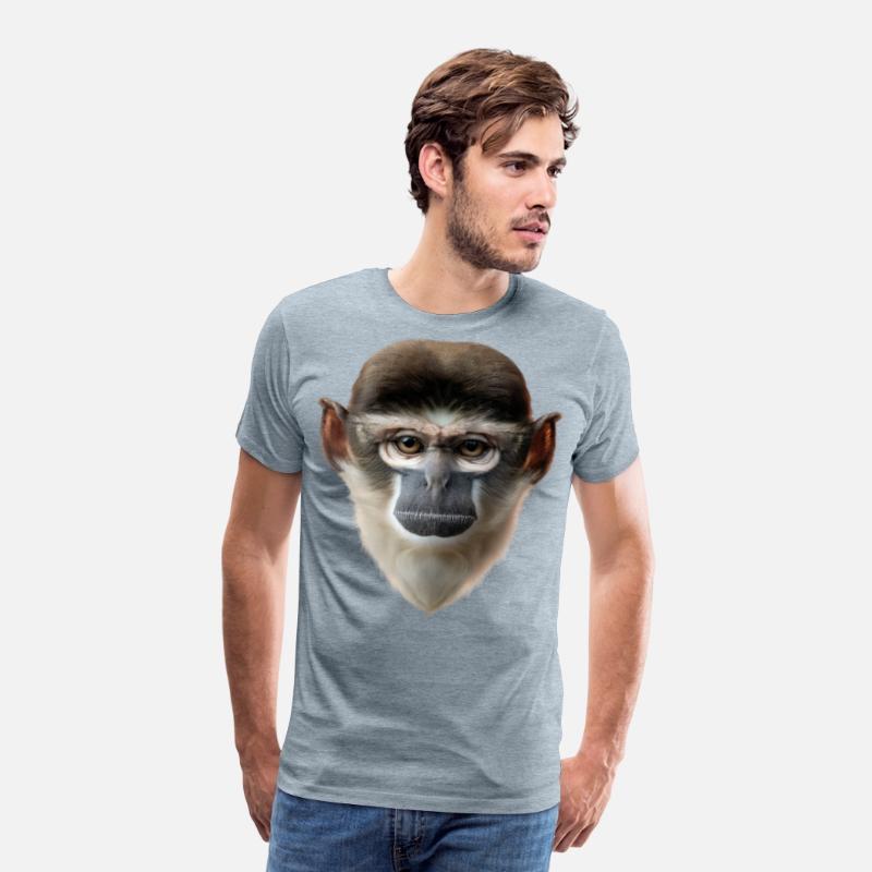 Grivet Monkey Face