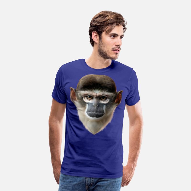 Grivet Monkey Face