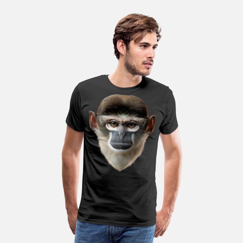 Grivet Monkey Face