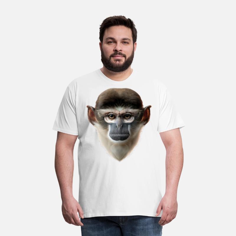Grivet Monkey Face