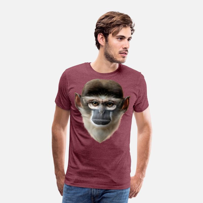 Grivet Monkey Face