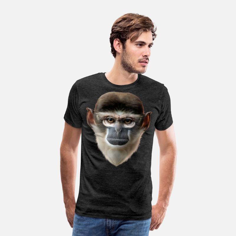 Grivet Monkey Face