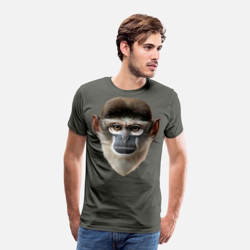 Grivet Monkey Face