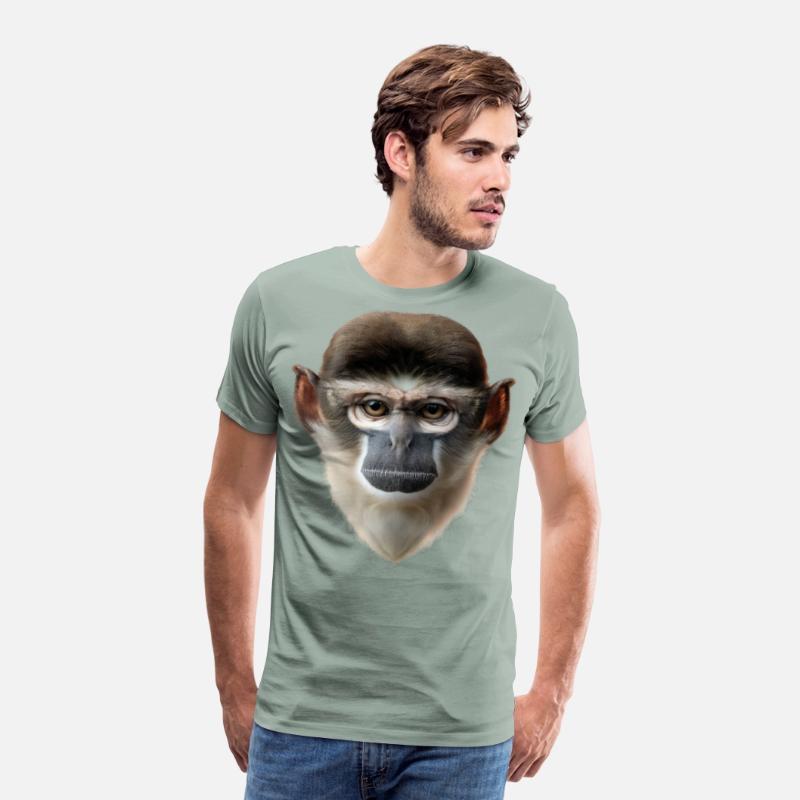 Grivet Monkey Face