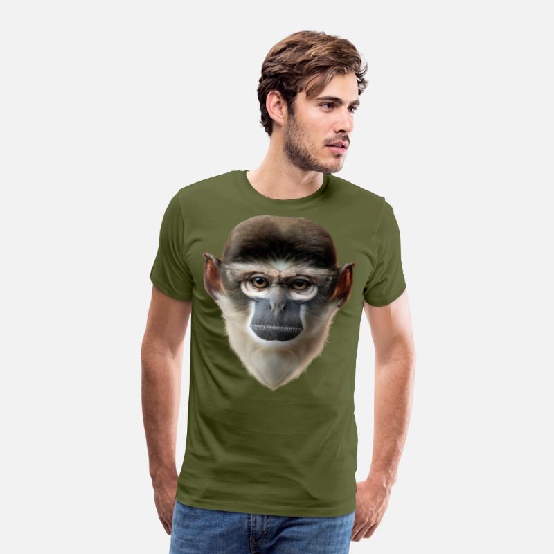 Grivet Monkey Face