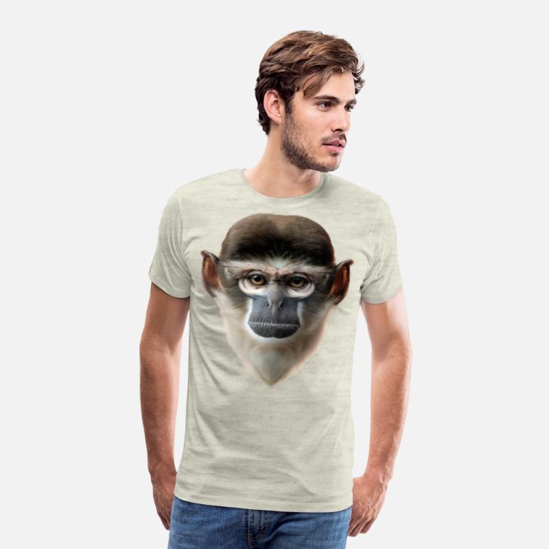 Grivet Monkey Face