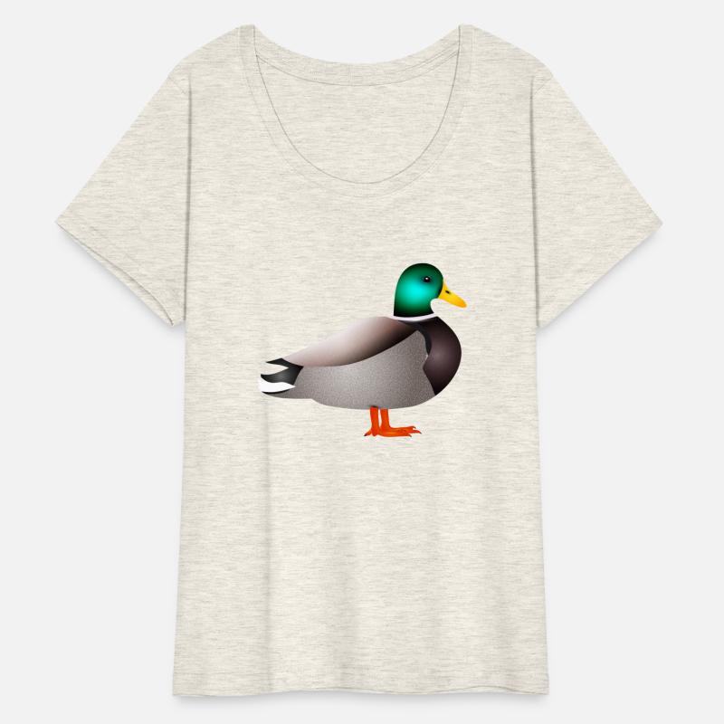 hand drawn male duck