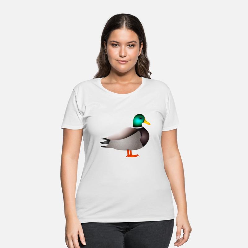 hand drawn male duck