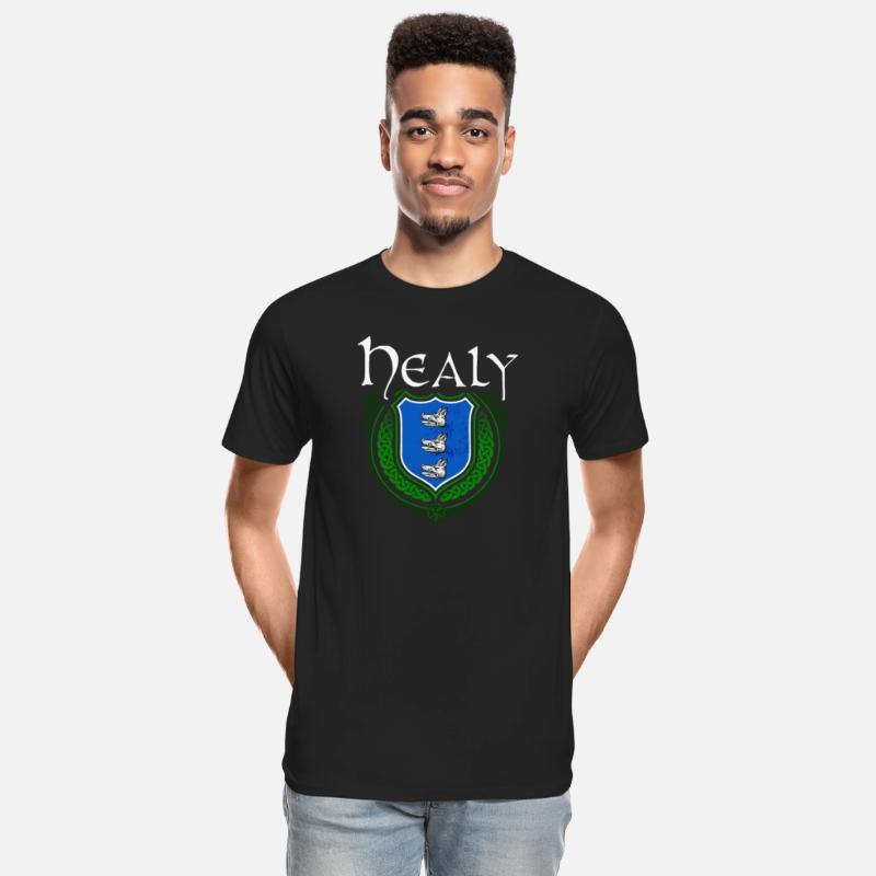 Healy Family Irish Coat of Arms Clan Crest