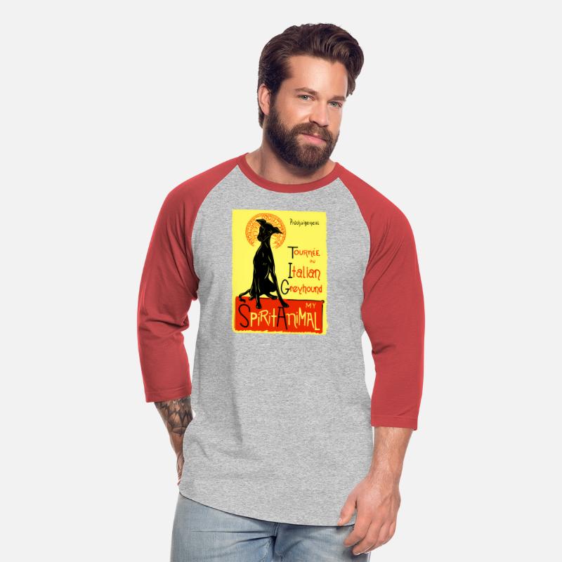 Italian Greyhound Dog Italian Greyhound