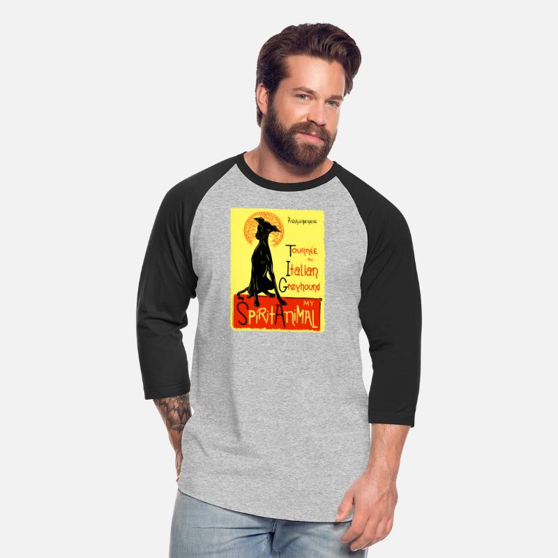 Italian Greyhound Dog Italian Greyhound