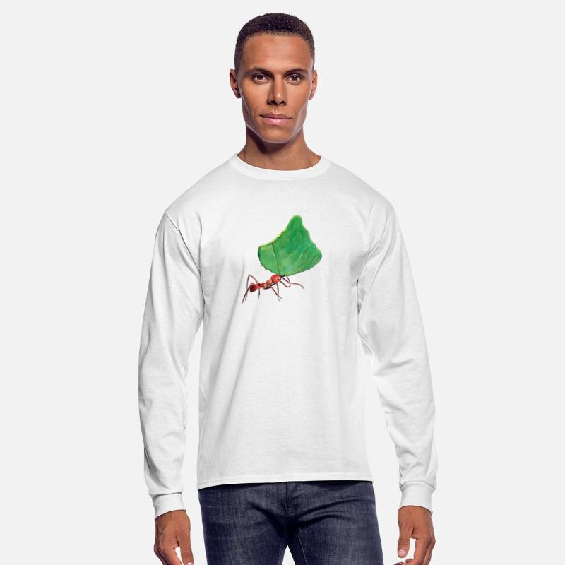 Little Ant Carrying a Big Leaf