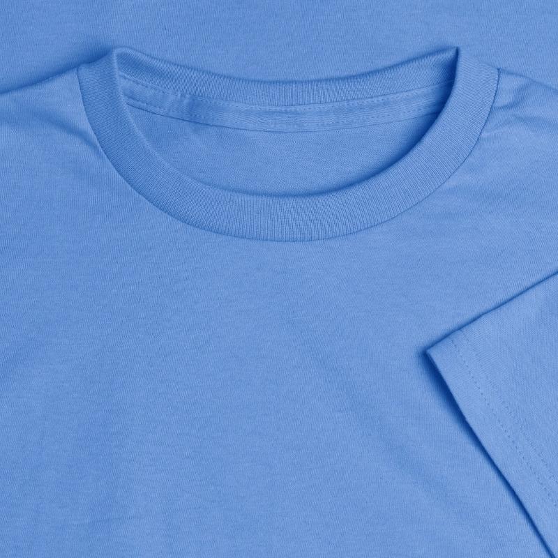 Wolf vector illustration